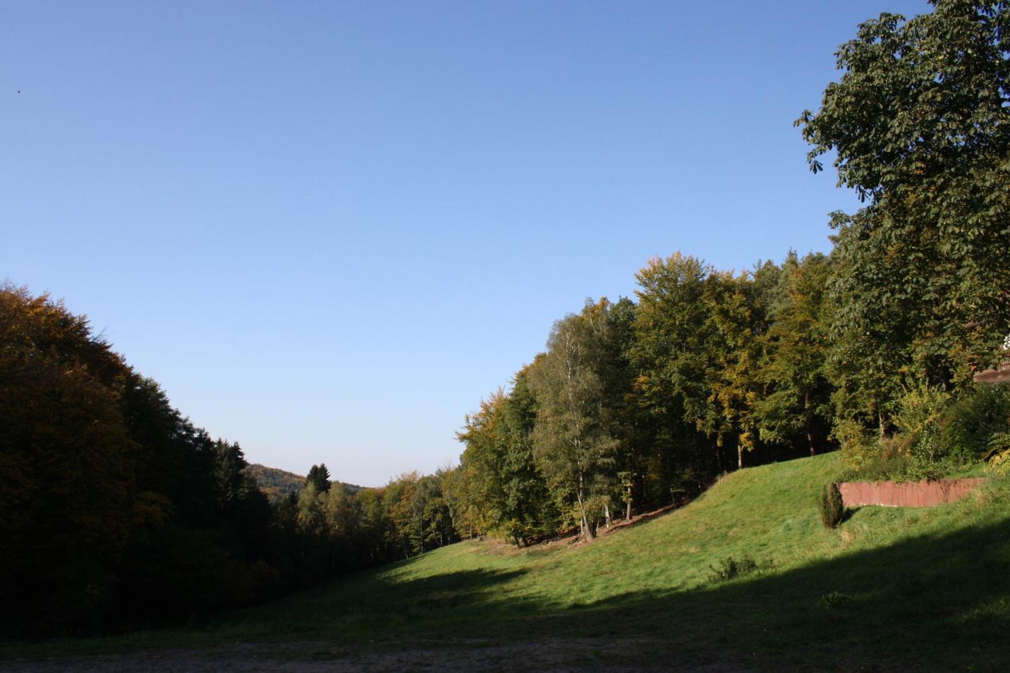 Wald-Hotel Heppe Dammbach Экстерьер фото