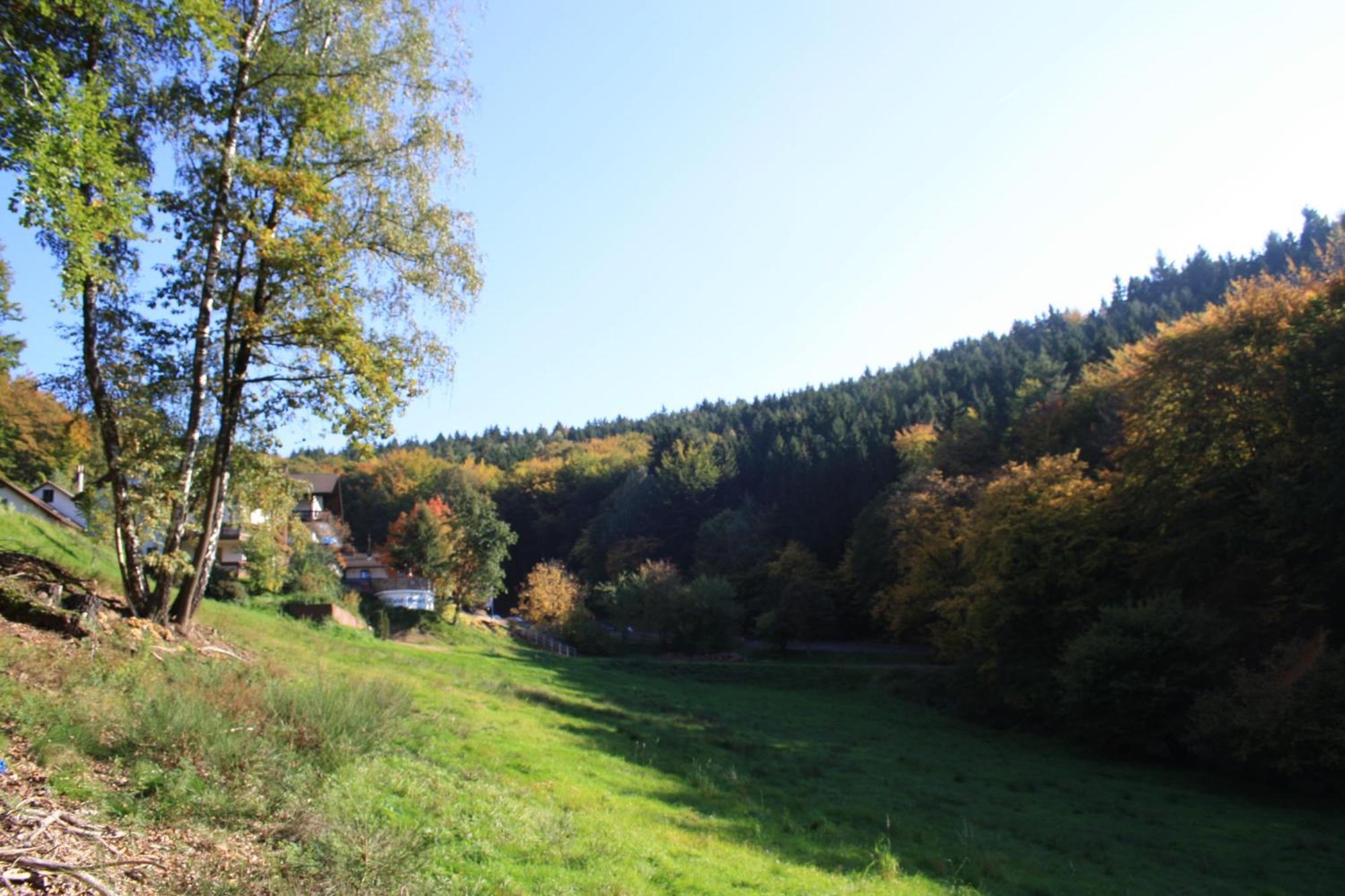 Wald-Hotel Heppe Dammbach Экстерьер фото