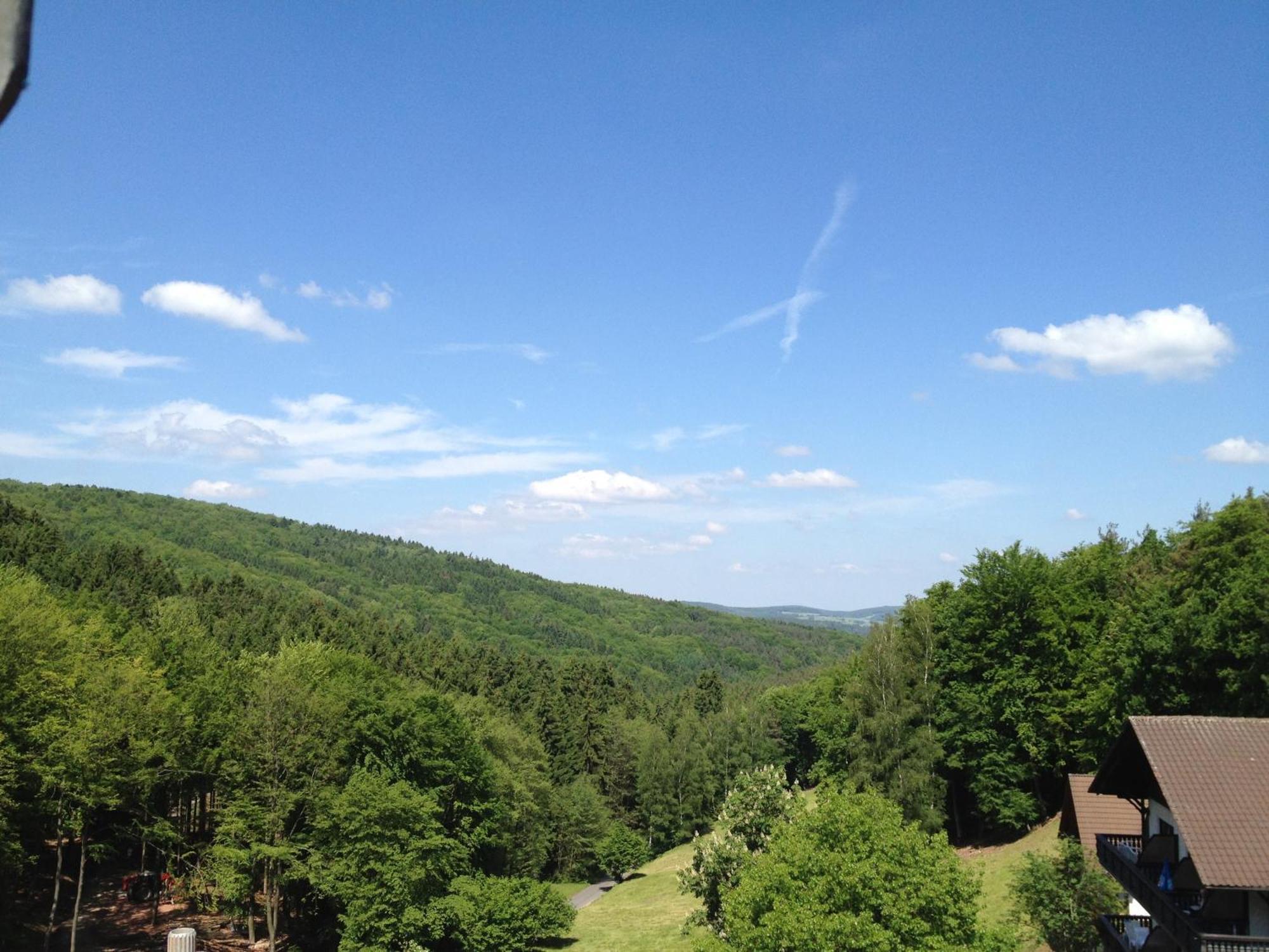 Wald-Hotel Heppe Dammbach Экстерьер фото