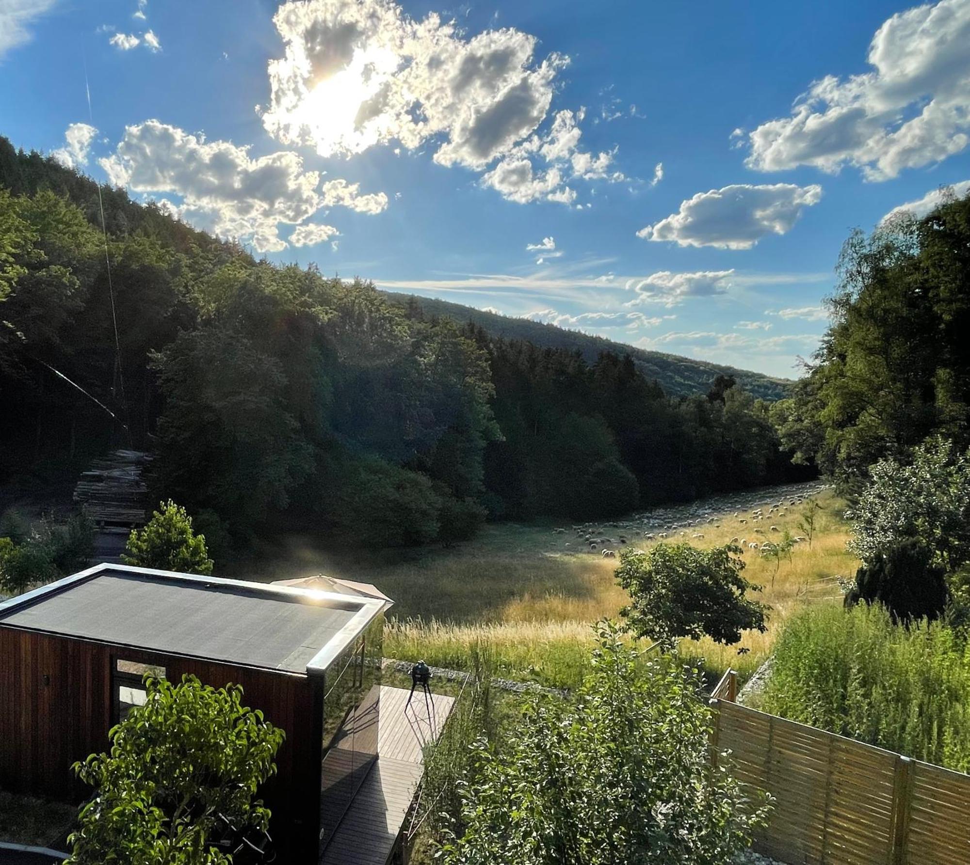 Wald-Hotel Heppe Dammbach Экстерьер фото